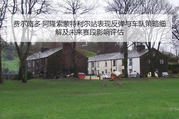 费尔南多·阿隆索蒙特利尔站表现反弹与车队策略细解及未来赛段影响评估