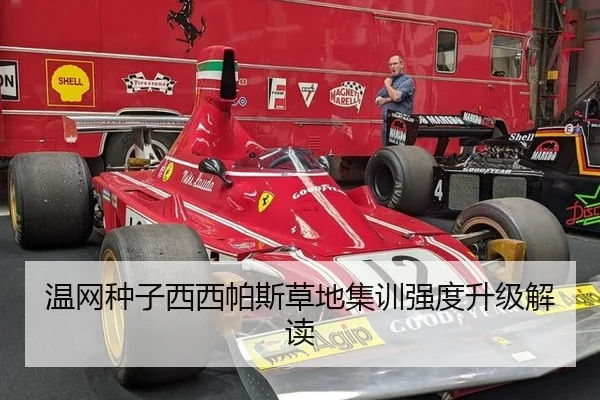 温网种子西西帕斯草地集训强度升级解读